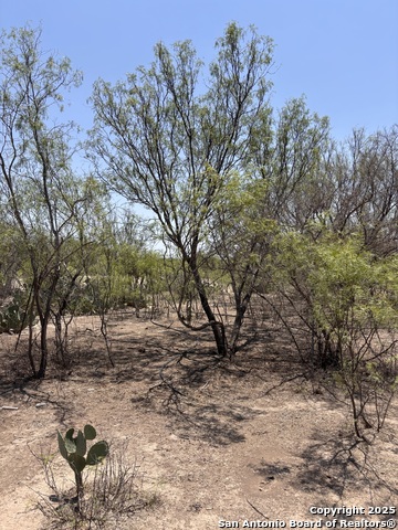Listing photo id 13 for 793 Fm 1986  