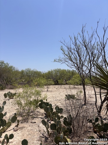 Listing photo id 15 for 793 Fm 1986  