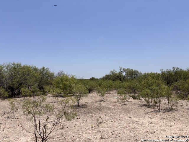 Listing photo id 16 for 793 Fm 1986  