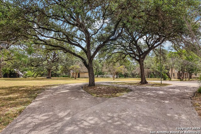 Listing photo id 19 for 7735 Mocking Bird Lane