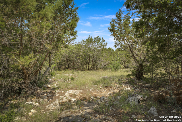 Image 13 of 19 For 37 Sabinas Ridge Rd