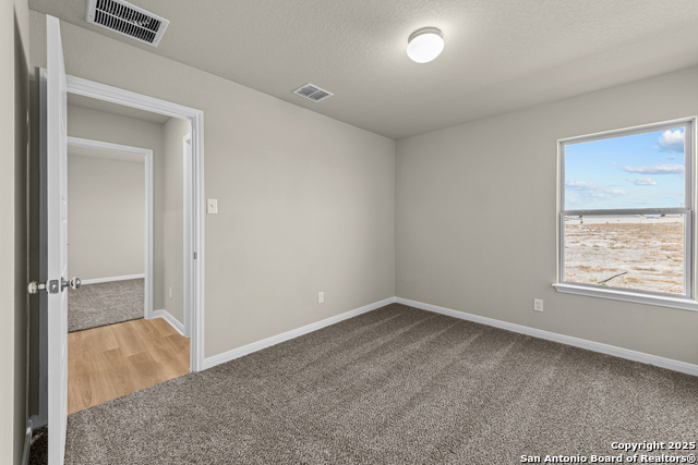 Listing photo id 23 for 4307 Carlotta Drive