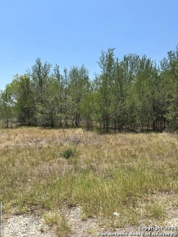 Listing photo id 0 for 325 County Ave.