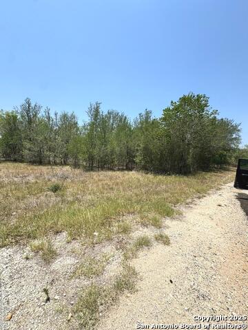 Listing photo id 1 for 325 County Ave.