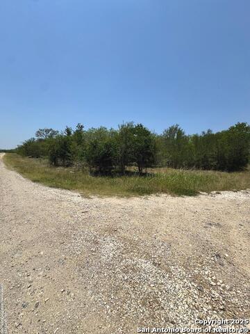 Listing photo id 2 for 325 County Ave.