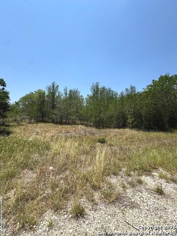 Listing photo id 4 for 325 County Ave.