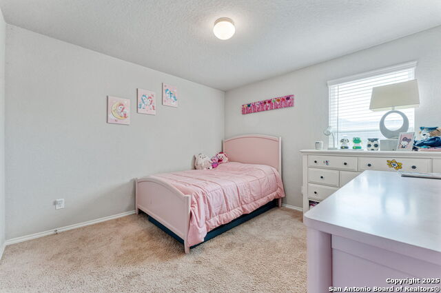 Listing photo id 19 for 2946 Daisy Meadow