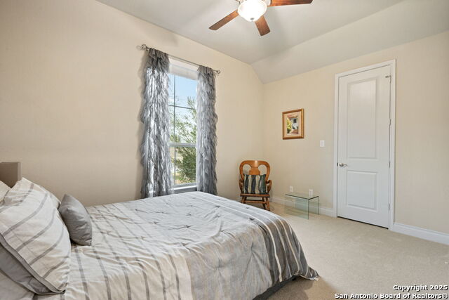 Listing photo id 23 for 7938 Cibolo