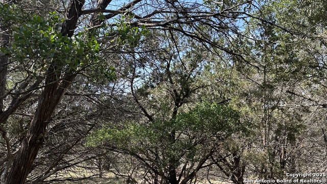 Image 2 of 17 For 121 Agarita  