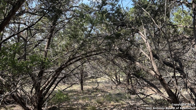 Image 3 of 17 For 121 Agarita  