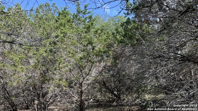 Image 4 of 17 For 121 Agarita  