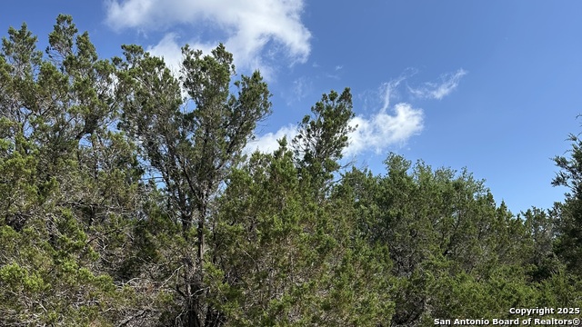 Image 5 of 17 For 121 Agarita  