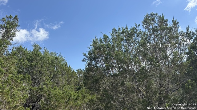 Image 6 of 17 For 121 Agarita  