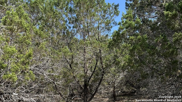 Image 7 of 17 For 121 Agarita  