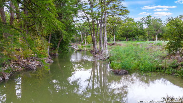 Listing photo id 11 for Tract 5 46 Fm 1621
