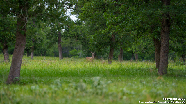 Image 22 of 42 For 190 Turnaround
