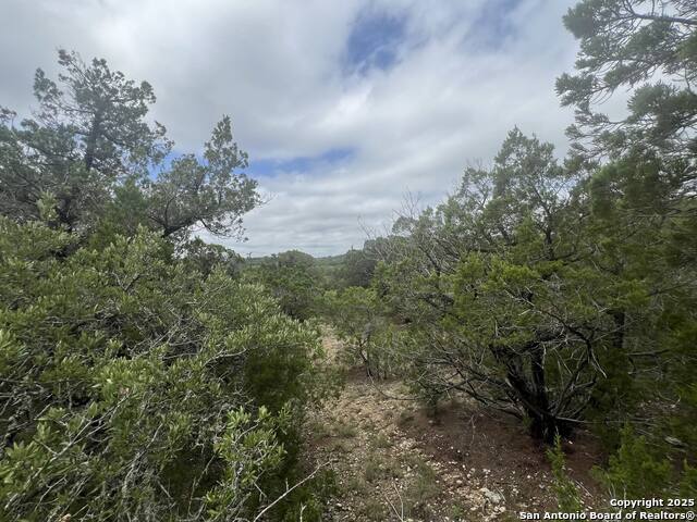 Image 6 of 10 For 9007 Fox Briar