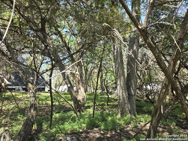 Listing photo id 1 for 1548 Winding Creek Trail