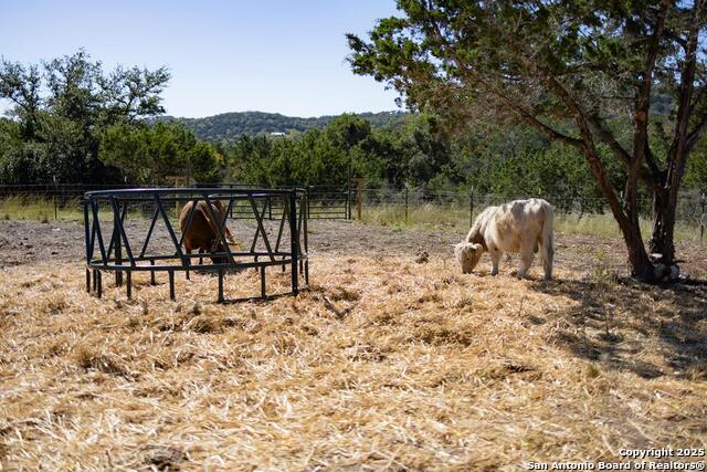 Details for 309 Walnut Rd, Fredericksburg, TX 78624