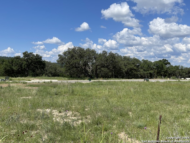Details for 23634 Cliff Line, San Antonio, TX 78257