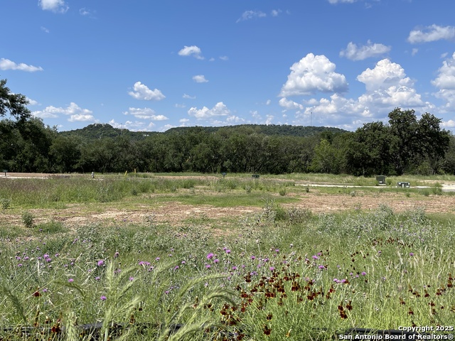 Details for 24630 Cliff Line, San Antonio, TX 78257
