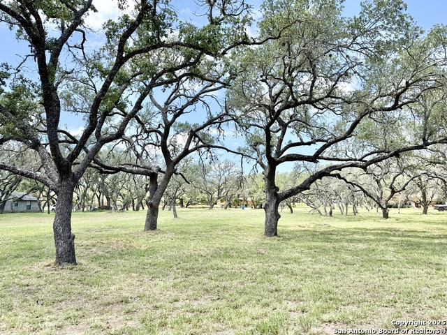 Details for Lot 53a Massad, Pleasanton, TX 78064