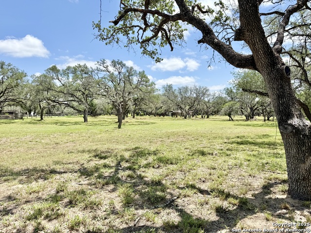 Image 10 of 15 For Lot 53a Massad