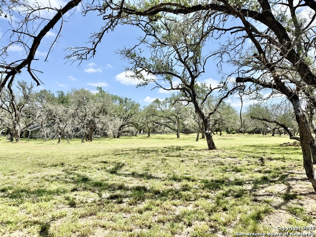 Image 11 of 15 For Lot 53a Massad