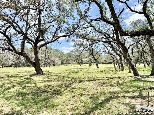 Image 12 of 15 For Lot 53a Massad