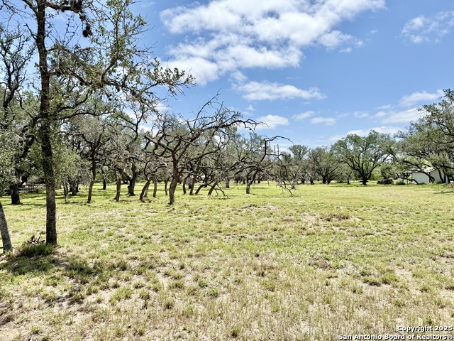 Image 13 of 15 For Lot 53a Massad