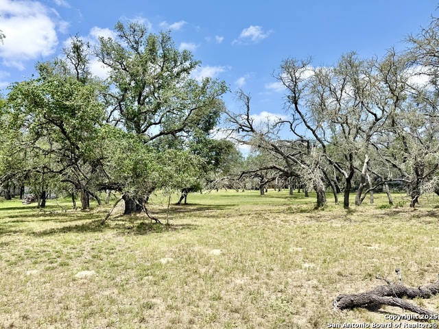 Image 14 of 15 For Lot 53a Massad
