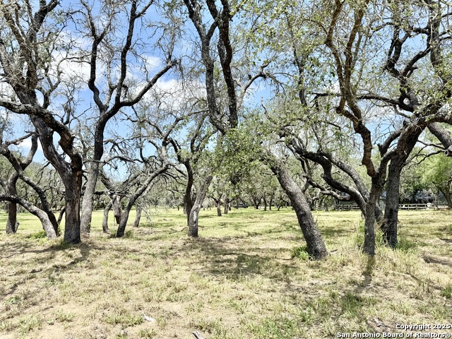 Image 15 of 15 For Lot 53a Massad