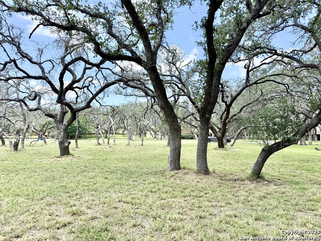 Image 2 of 15 For Lot 53a Massad
