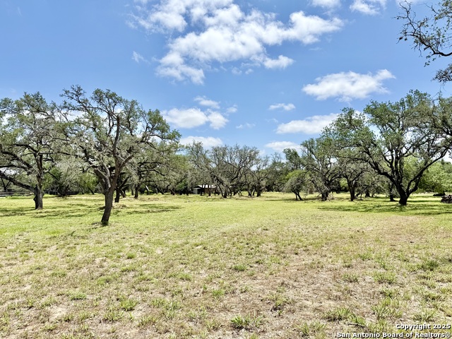 Image 3 of 15 For Lot 53a Massad
