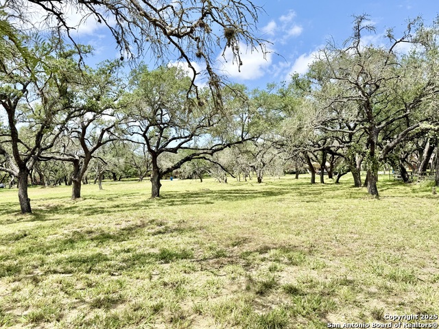Image 4 of 15 For Lot 53a Massad