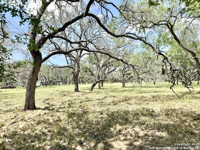 Image 5 of 15 For Lot 53a Massad