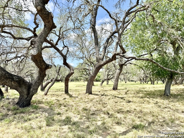 Image 6 of 15 For Lot 53a Massad