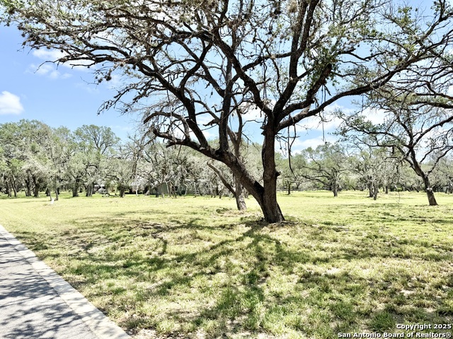 Image 7 of 15 For Lot 53a Massad