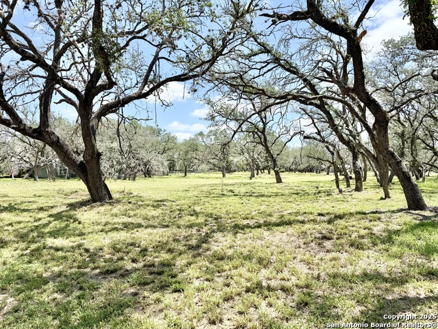 Image 9 of 15 For Lot 53a Massad