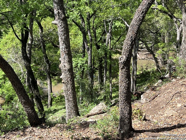 Listing photo id 40 for 24607 Cliff Line