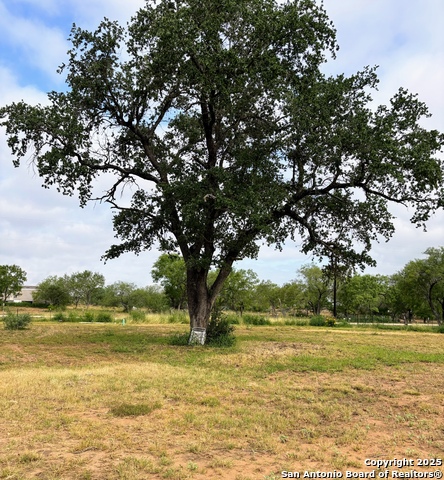 Image 10 of 20 For 134 County Road 2664
