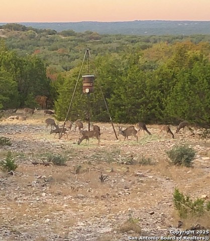 Details for 932 Shin Oak, Menard, TX 76859