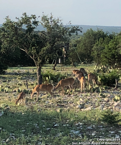 Image 20 of 23 For 932 Shin Oak