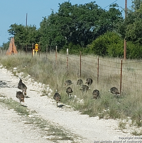 Image 23 of 23 For 932 Shin Oak