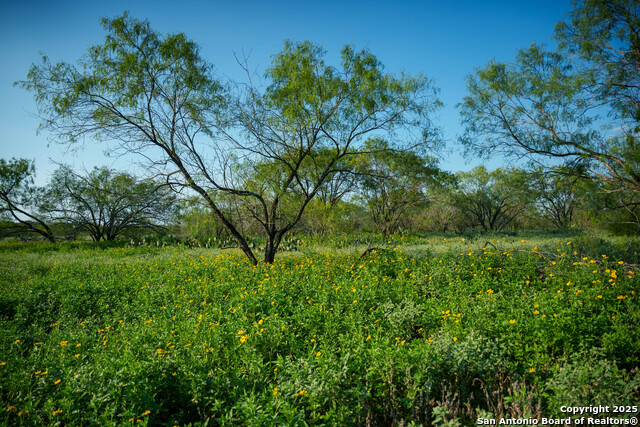 Image 18 of 19 For 000 Leal Road
