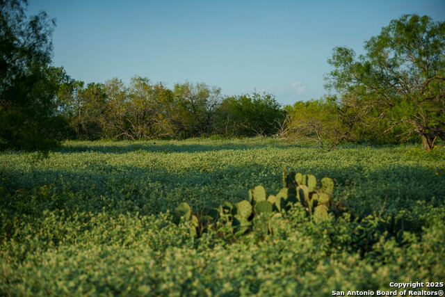 Image 19 of 19 For 000 Leal Road