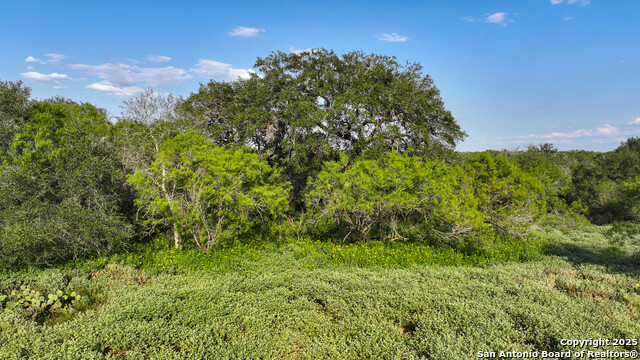 Image 7 of 19 For 000 Leal Road