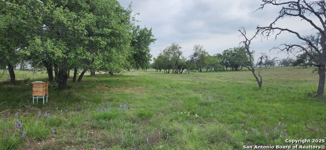 Image 2 of 15 For 153 Fallow Dr