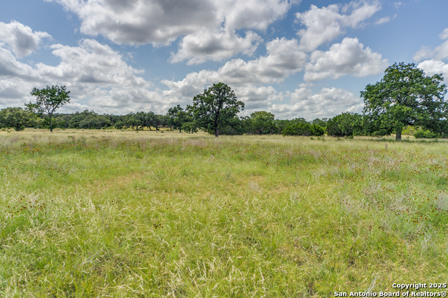 Image 4 of 23 For 32624 Tierra Robles Drive