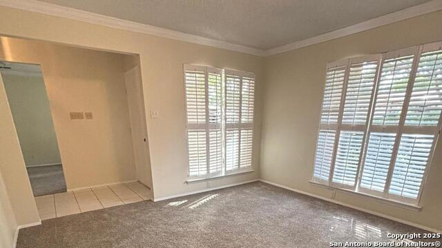 Listing photo id 5 for 8526 Timberwilde